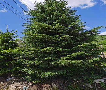 未标题-23.jpg