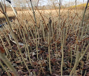 未标题-27.jpg