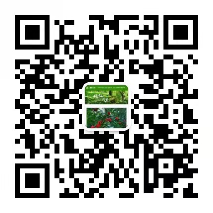 e09aeecc81e2ca52d1da526131b7cab.jpg