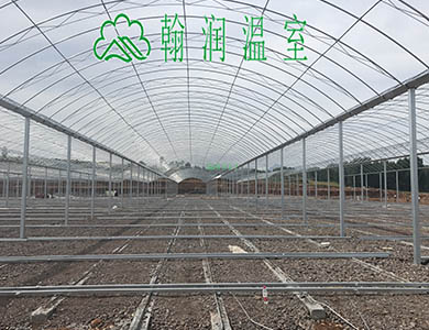 连栋温室.JPG