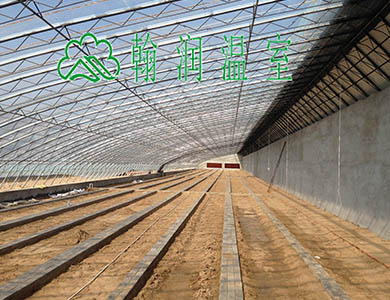 日光温室.JPG