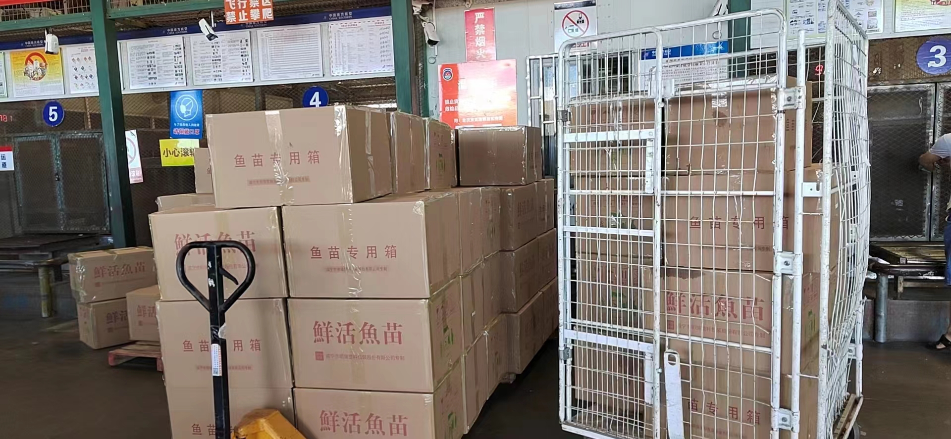 b642f8fa-772f-4a94-91bb-8ebbc801856d.jpg