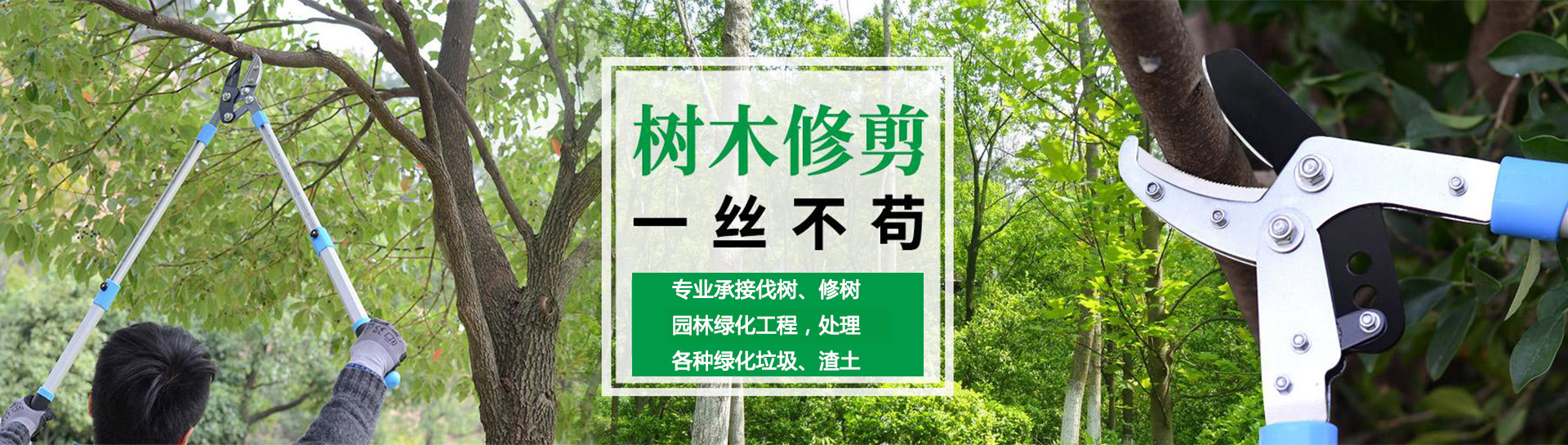轮3.jpg