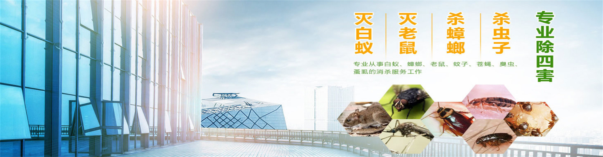 灭四害.jpg