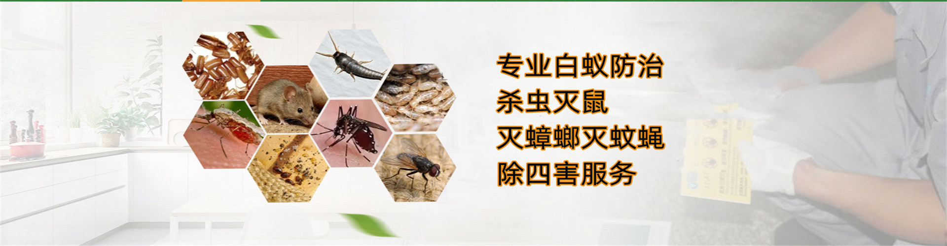 灭四害 (2).jpg