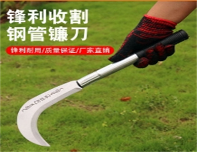 微信截图_20240523212321.jpg