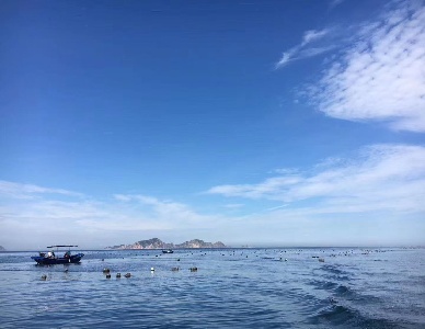 风景 (10).jpg