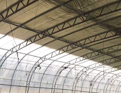 双膜大棚骨架3.jpg